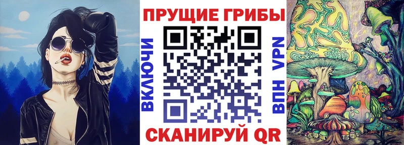 Купить  Окуловка  Псилоцибиновые грибы Psilocybine cubensis 
