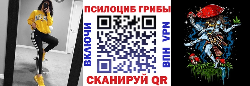 Галлюциногенные грибы Cubensis Окуловка